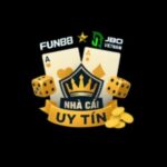 Profile photo of nhacaiuytinshop