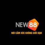 Profile photo of ncnew88land