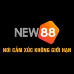 Profile photo of new88solar0