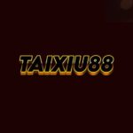Profile photo of taixiu88io