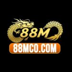 Profile photo of 88M