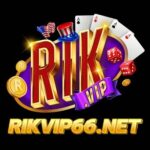 Profile photo of ncrikvip66net