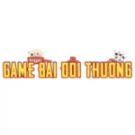 Profile photo of gamebaidoithuonguytinukcom