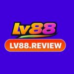 Profile photo of lv88review