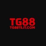 Profile photo of tg88t5itcom1
