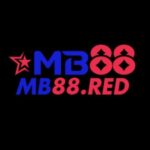 Profile photo of MB88S